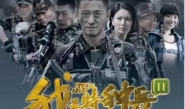 特种兵2电影在线观看,生死较量——在线观看，揭秘极限战场上的英雄传奇